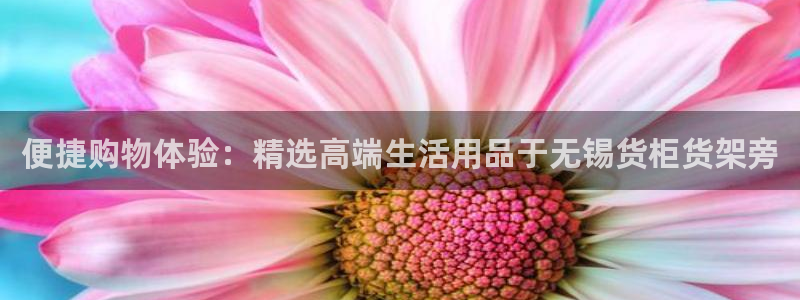 杏运代理