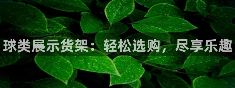 杏运体育app下载安装
