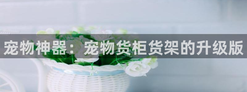 杏运体育官方网址