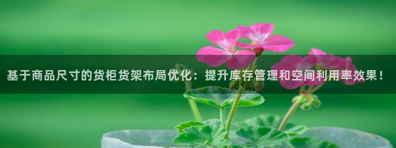 杏运平台官网