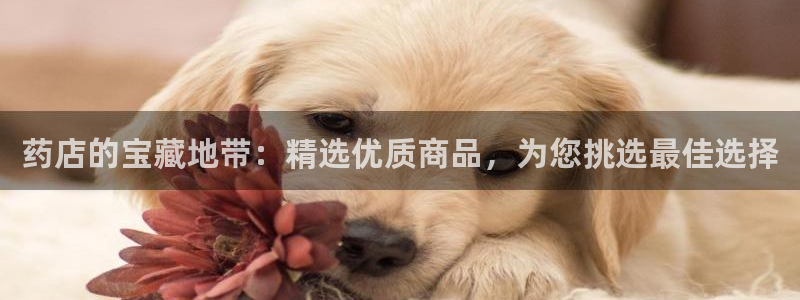 杏运注册平台