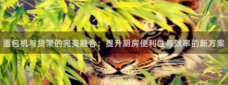 杏运体育注册
