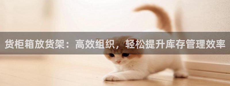 杏运注册平台：货柜箱放货架：高效组织，轻