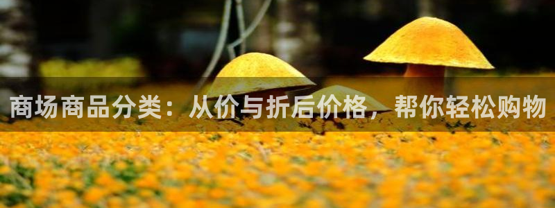 杏运娱乐平台注册地址：商场商品分类：从价