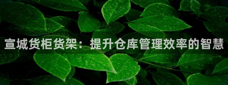 杏运登录：宣城货柜货架：提升仓库管理效率